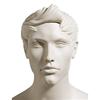 Male Mannequin Head 811