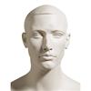 Male Mannequin Head 823