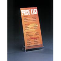 1/3rd A4 Angled Information Holder (Priced & Packed in 10s)