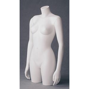 Female - Torso With Arms
