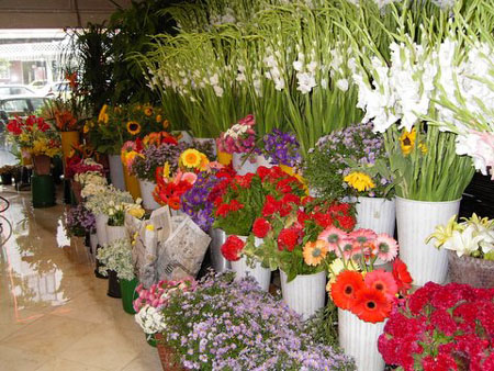 Florist Shops